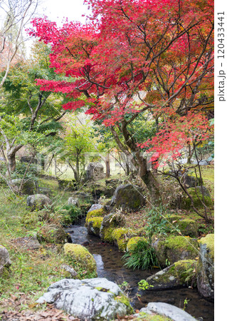 紅葉が美しい大分の紅葉スポット 紅葉が美しい大分の紅葉スポット 120433441