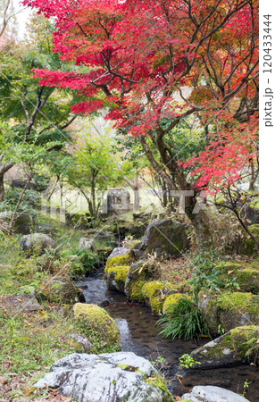 紅葉が美しい大分の紅葉スポット 120433444