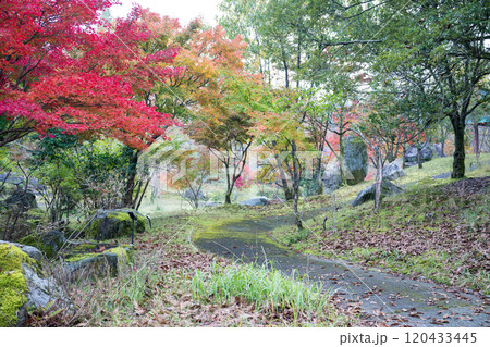 紅葉が美しい大分の紅葉スポット 120433445