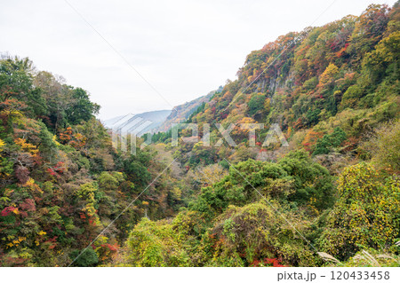 紅葉が美しい大分の紅葉スポット 紅葉が美しい大分の紅葉スポット 120433458