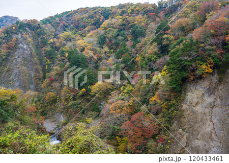 紅葉が美しい大分の紅葉スポット 紅葉が美しい大分の紅葉スポット 120433461