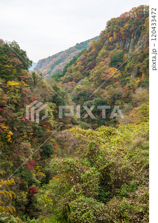 紅葉が美しい大分の紅葉スポット 120433472