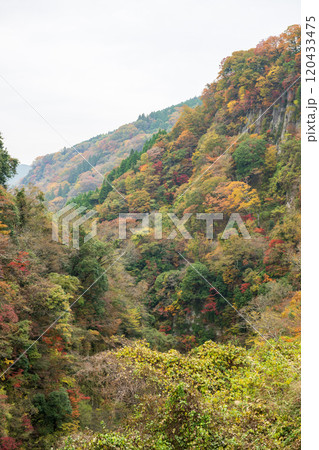 紅葉が美しい大分の紅葉スポット 120433475