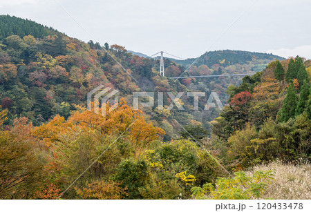紅葉が美しい大分の紅葉スポット 120433478