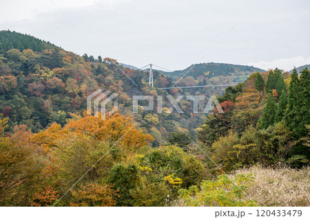 紅葉が美しい大分の紅葉スポット 紅葉が美しい大分の紅葉スポット 120433479