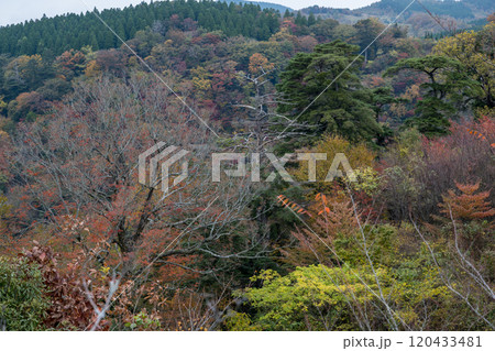 紅葉が美しい大分の紅葉スポット 紅葉が美しい大分の紅葉スポット 120433481