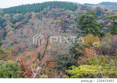 紅葉が美しい大分の紅葉スポット 120433483