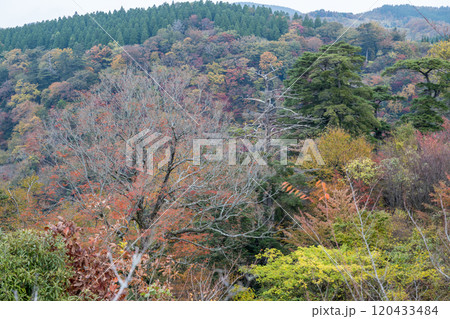 紅葉が美しい大分の紅葉スポット 紅葉が美しい大分の紅葉スポット 120433484