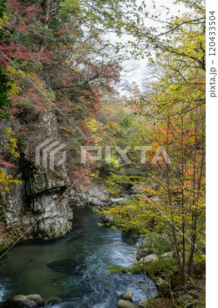 紅葉が美しい大分の紅葉スポット 120433504