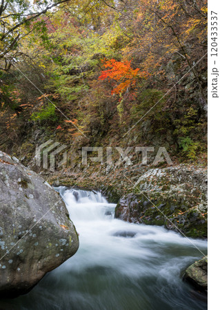 紅葉が美しい大分の紅葉スポット 120433537