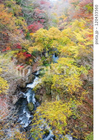 紅葉が美しい大分の紅葉スポット 120433560