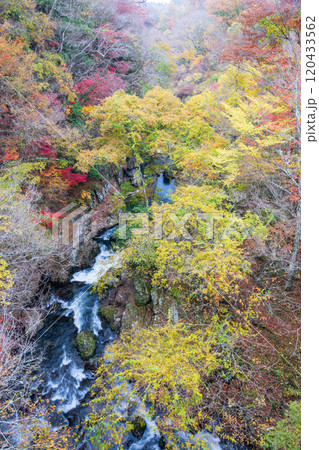 紅葉が美しい大分の紅葉スポット 120433562