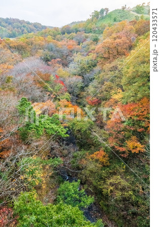 紅葉が美しい大分の紅葉スポット 120433571