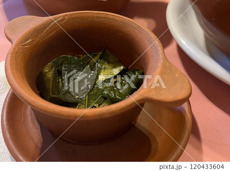 Close-up photo of a bowl containing coca leaves.Natural medicine. 120433604