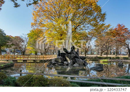 高崎城址公園、群馬県高崎市 高崎城址公園、群馬県高崎市 120433747