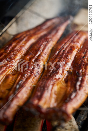 炭火で鰻の蒲焼を焼く 中国産 ロストラータ種 炭火で鰻の蒲焼を焼く 中国産 ロストラータ種 120433761