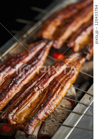 炭火で鰻の蒲焼を焼く　中国産　ロストラータ種 120433764