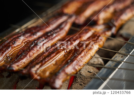 炭火で鰻の蒲焼を焼く　中国産　ロストラータ種 120433766