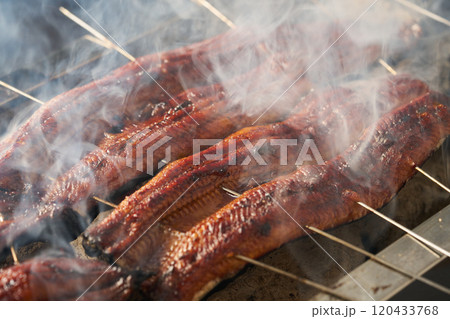 炭火で鰻の蒲焼を焼く 中国産 ロストラータ種 炭火で鰻の蒲焼を焼く 中国産 ロストラータ種 120433768