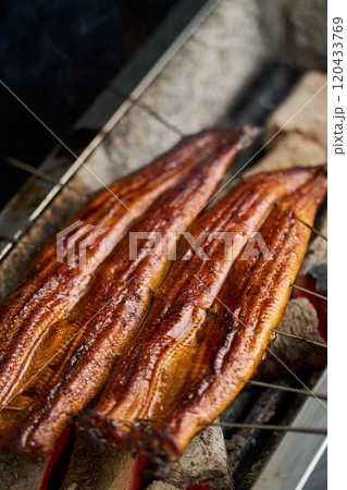 炭火で鰻の蒲焼を焼く 中国産 ロストラータ種 炭火で鰻の蒲焼を焼く 中国産 ロストラータ種 120433769