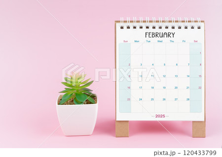 Desk calendar for February 2025 with plant pot. Desk calendar for February 2025 with plant pot. 120433799