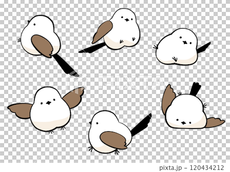 かわいいシマエナガのイラストセット 120434212