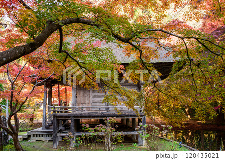 世界遺産中尊寺　秋色に染まる弁財天堂の朝　岩手県 120435021