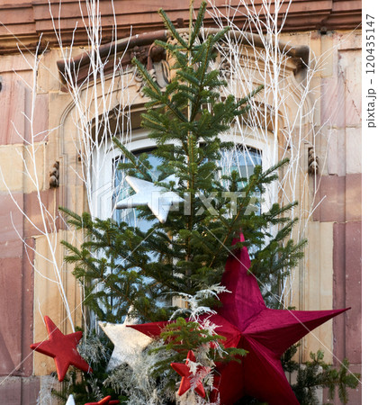 Christmas background with tree branches Christmas background with tree branches 120435147