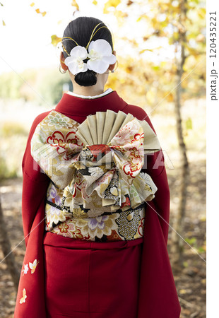 振袖を着た成人した女性 振袖を着た成人した女性 120435221