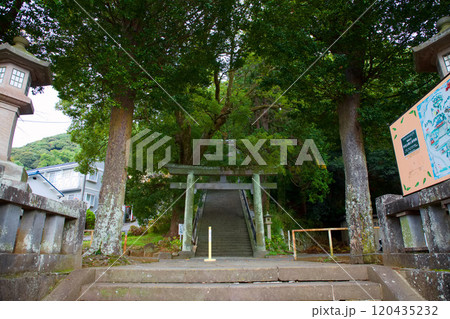 伊豆山神社 本殿 伊豆山神社 本殿 120435232