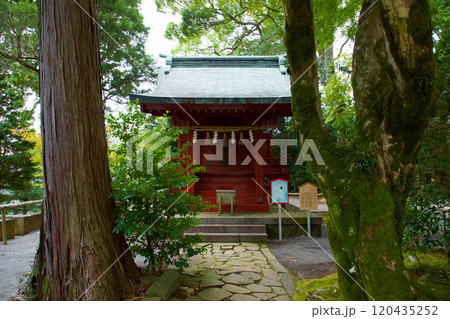 伊豆山神社　本殿 120435252