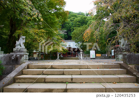 伊豆山神社　本殿 120435253