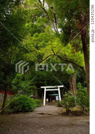 伊豆山神社　白山神社遥拝所 120435296