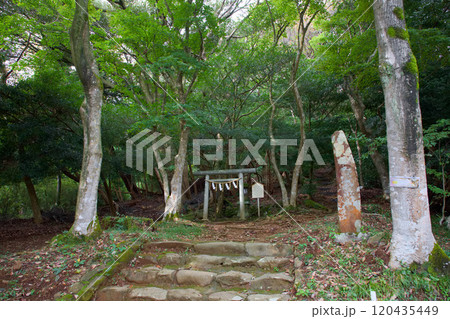 伊豆山神社　結明神社 120435449