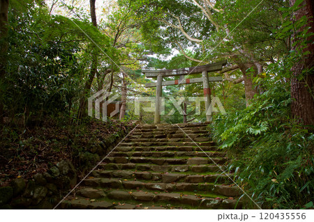 伊豆山神社 本宮 伊豆山神社 本宮 120435556