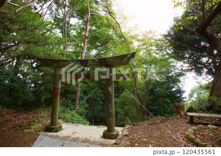 伊豆山神社　本宮 120435561