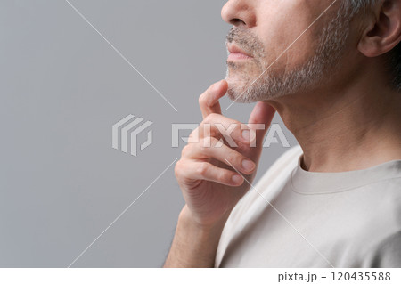 ミドルの白髪男性の顎ヒゲ 120435588