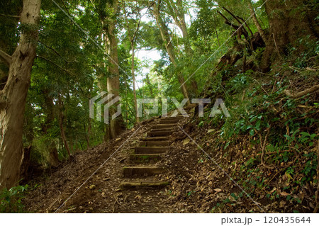 伊豆山神社 本宮への道のり 伊豆山神社 本宮への道のり 120435644
