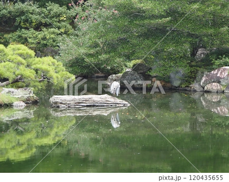 京都御所内 京都御所内 120435655