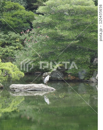 京都御所内 京都御所内 120435656