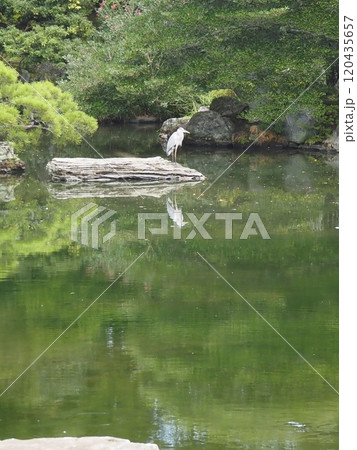 京都御所内 120435657