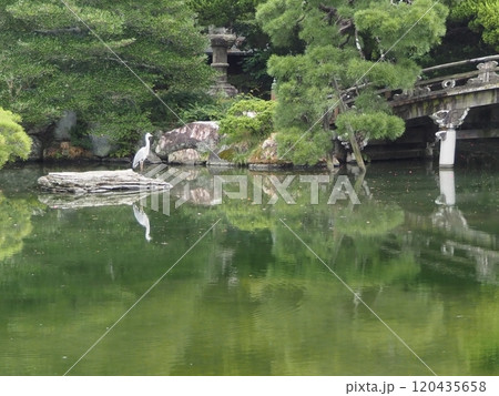 京都御所内 京都御所内 120435658