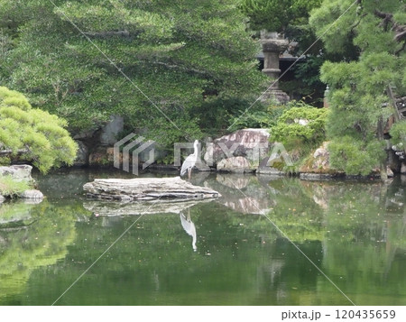 京都御所内 京都御所内 120435659