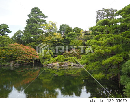 京都御所内 京都御所内 120435670