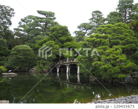 京都御所内 120435673