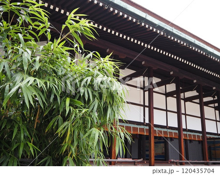 京都御所内 京都御所内 120435704