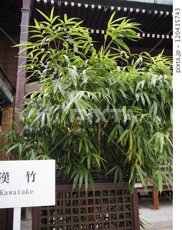 京都御所内 京都御所内 120435743