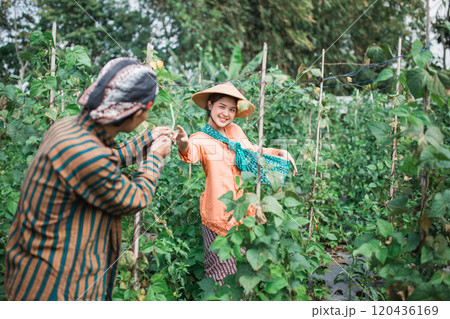 Harvesting Smiles Joyful Farmers in a Lush, Vibrantly Green Garden Space Harvesting Smiles Joyful Farmers in a Lush, Vibrantly Green Garden Space 120436169