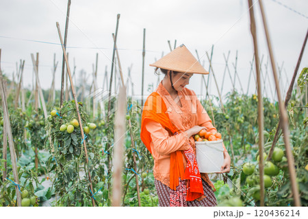 A woman joyfully harvesting fresh produce in a vibrant vegetable garden 120436214