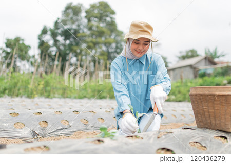 A Young Female Farmer is Planting Seeds in a Lush Green Field in Nature A Young Female Farmer is Planting Seeds in a Lush Green Field in Nature 120436279